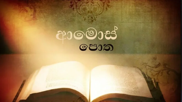 The Book of Amos 1