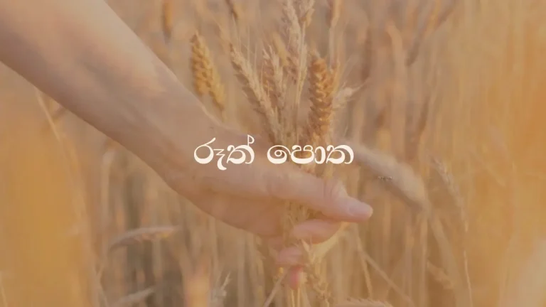 The Book of Ruth 1